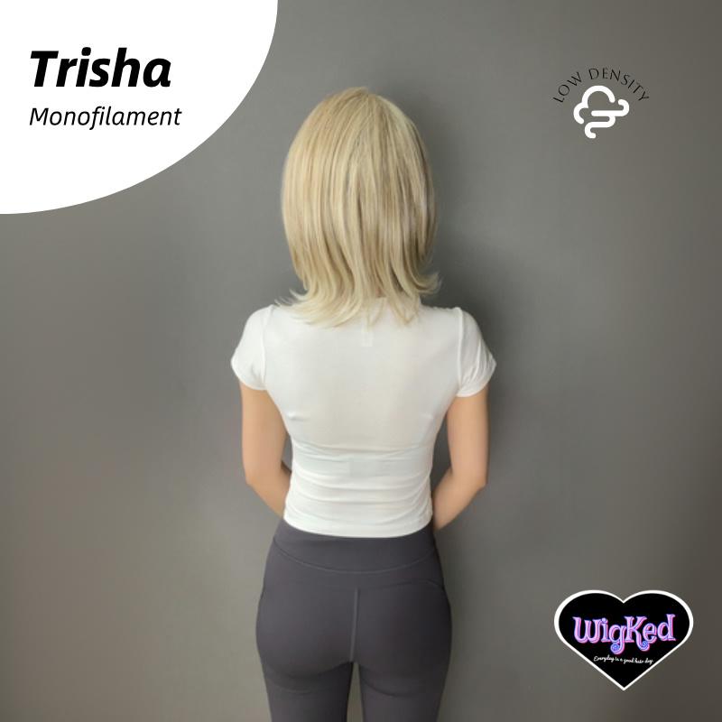 【Trisha】Mixed Gray Blonde Low Density MONO Monofilament Handmade Wig 6*5 Full Monofilament Hand Tied Top Wig 15 Inch Straight Layered Mono Lace Wig,  Low Density, Adjustable&Glueluess, USA Stocked